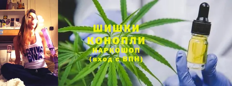 Каннабис SATIVA & INDICA  Мурино 